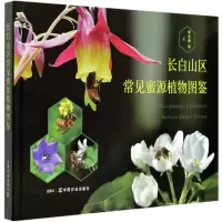 音像长白山区常见蜜源植物图鉴(精)李志勇