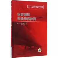 音像钢管漏磁自动无损检测康宜华,伍剑波 著
