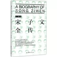 音像宋子文全传王松 著