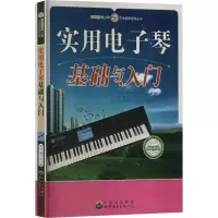 音像实用琴基础与入门作者