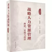 音像战略人力资源管理 理论、实践与前沿 第2版彭剑锋主编