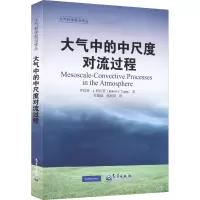 音像大气中的中尺度对流过程(美)罗伯特·J.拉