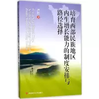 音像培育西部民族地区内生增长能力的制度安排与路径选择严红 著