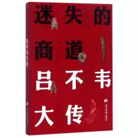 音像迷失的商道安之忠,林锋 著