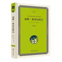 音像汤姆·索亚历险记(全译本)(精)/名家译丛马克·吐温