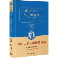 音像小二黑结婚 赵树理作品精选集 价值典藏版 2.0赵树理