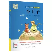 音像中小学生大阅读小王子美绘注音版(法)安托万·德·圣埃克苏佩里