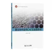 音像复合材料结构CAE实践指导书袁国青