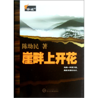 音像崖畔上开花陈幼民