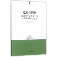 音像适应调整李艳 著