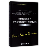 音像协同优化视角下中国企业碳减排行为策略研究曲亮张武林薛津津