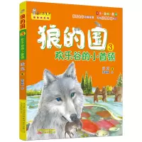音像狼的国3:欢乐谷的小首领凌岚