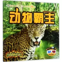 音像动物霸主崔钟雷 主编
