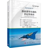 音像激波诱导分离的定效应(波)P.多尔夫 等