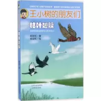 音像枯叶翅膀杨宝利 著