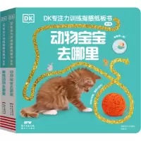 音像DK专注力训练指感纸板书 第3辑(全2册)[英]DK公司