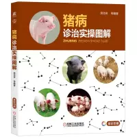 音像猪病诊治实操图解席克奇等