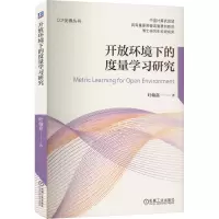 音像开放环境下的度量学习研究叶翰嘉
