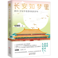 音像长安如梦里 唐诗三百首中遗落的绝美诗句石继航
