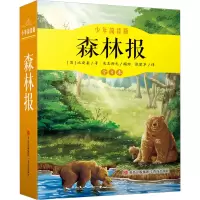 音像森林报 少年简读版(全4册)(苏)比安基