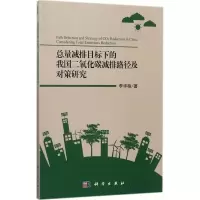 音像总量减排目标下的我国二氧化碳减排路径及对策研究李华楠 著