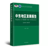 音像中东地区发展报告·2020-2021余泳 著