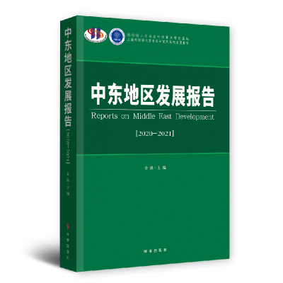 音像中东地区发展报告·2020-2021余泳 著