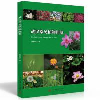 音像武汉常见植物图鉴杨春松