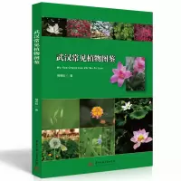 音像武汉常见植物图鉴杨春松