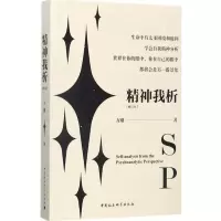 音像精神我析方刚 著