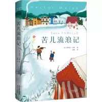 音像苦儿流浪记(法)埃克多·马洛