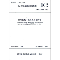 音像四川省载体桩施工工艺规程四川建筑职业技术学院 主编