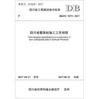 音像四川省载体桩施工工艺规程四川建筑职业技术学院 主编