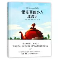 音像借东西的小人漂流记(精)玛丽·诺顿