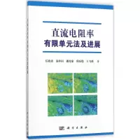 音像直流电阻率有限单元法及进展任政勇 等 著
