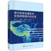 音像现代信息处理技术在地球物理中的应用胡祥云 等