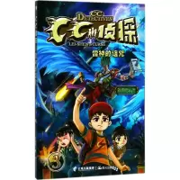 音像雷神的诅咒刘珈辰 著