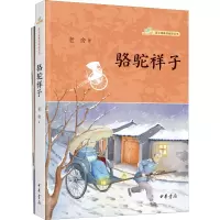 音像骆驼祥子(全2册)老舍