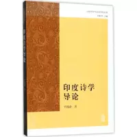 音像印度诗学导论尹锡南 著