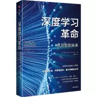 音像深度学习 从历史到未来(美)凯德·梅茨