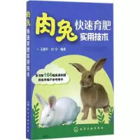音像肉兔快速育肥实用技术王建平,刘宁 编著