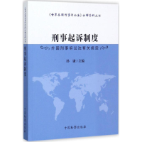 音像刑事起诉制度孙谦 主编