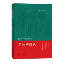 音像的形成:清季十年的转折(精)罗志田