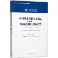 音像中国城市营销发展报告.2016刘彦平 主编