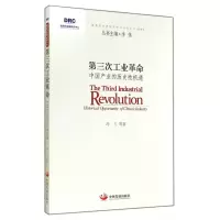 音像第三次工业(中业的历史机遇)/发展中心研究丛书冯飞