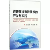 音像连铸在线监控技术的开发与实践孙立根,朱立光 著