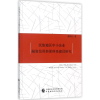 音像民族地区中小企业融资信用担保体系建设研究梁积江 著
