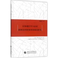 音像民族地区中小企业融资信用担保体系建设研究梁积江 著