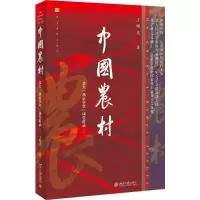 音像中国农村王曙光
