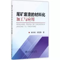 音像尾矿废渣的材料化加工与应用杨华明,欧阳静 著
